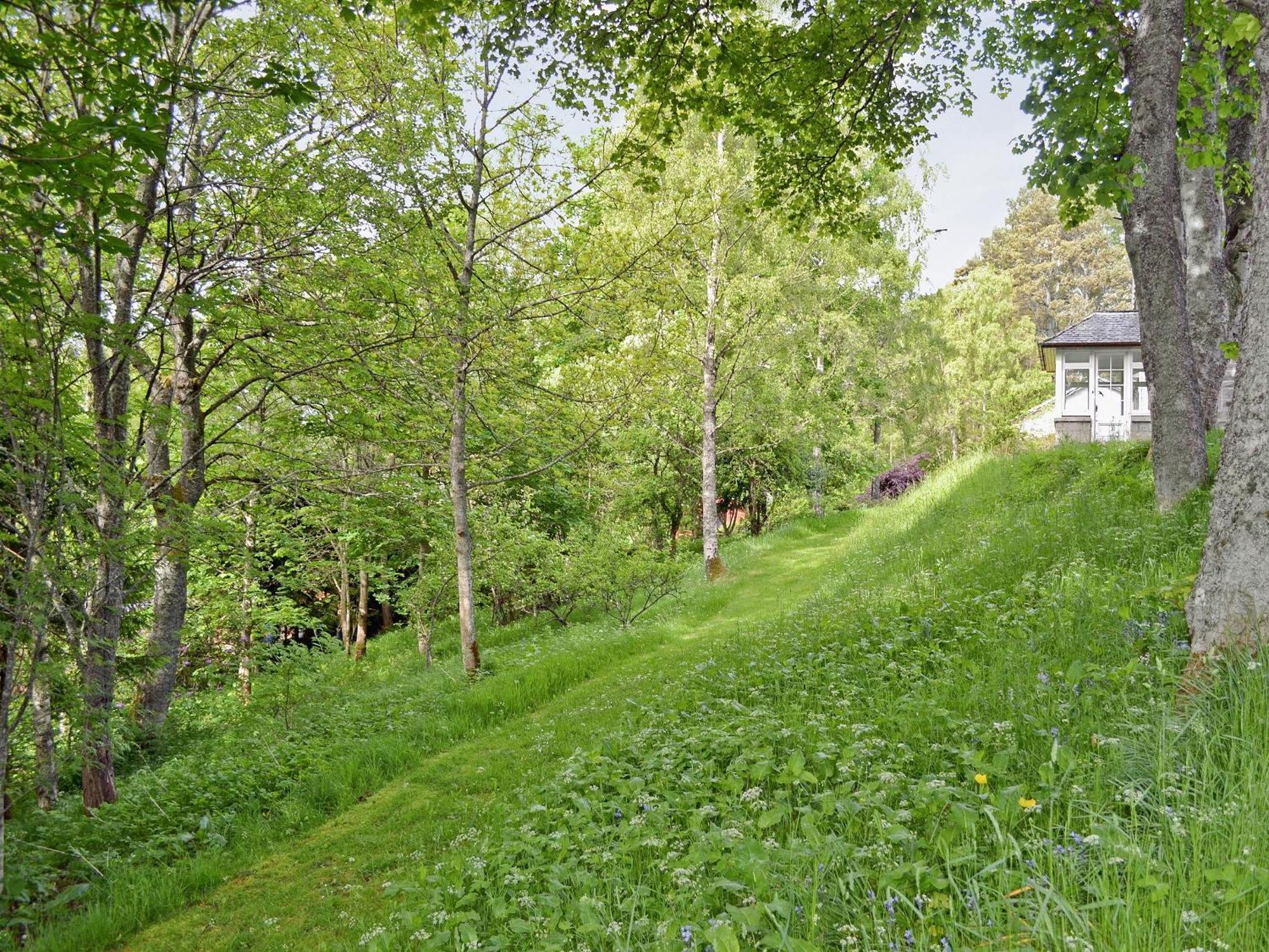 Treetops Newtonmore Exterior foto