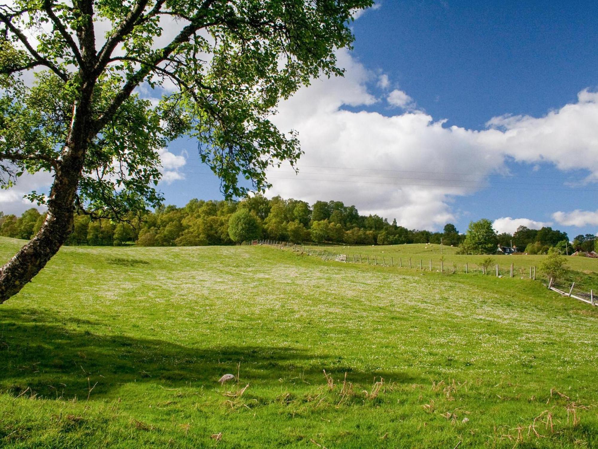 Treetops Newtonmore Exterior foto